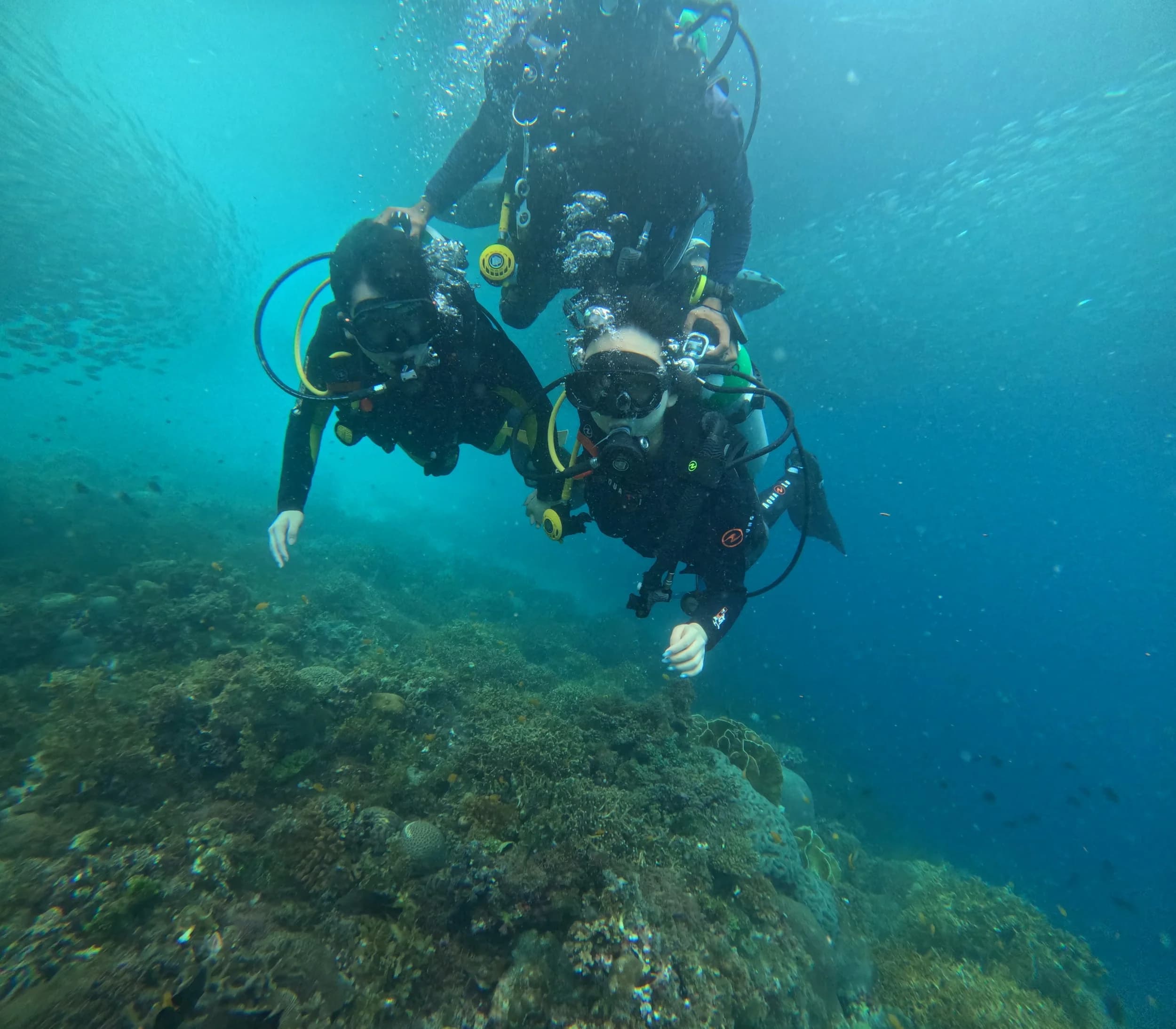 Over the reef top