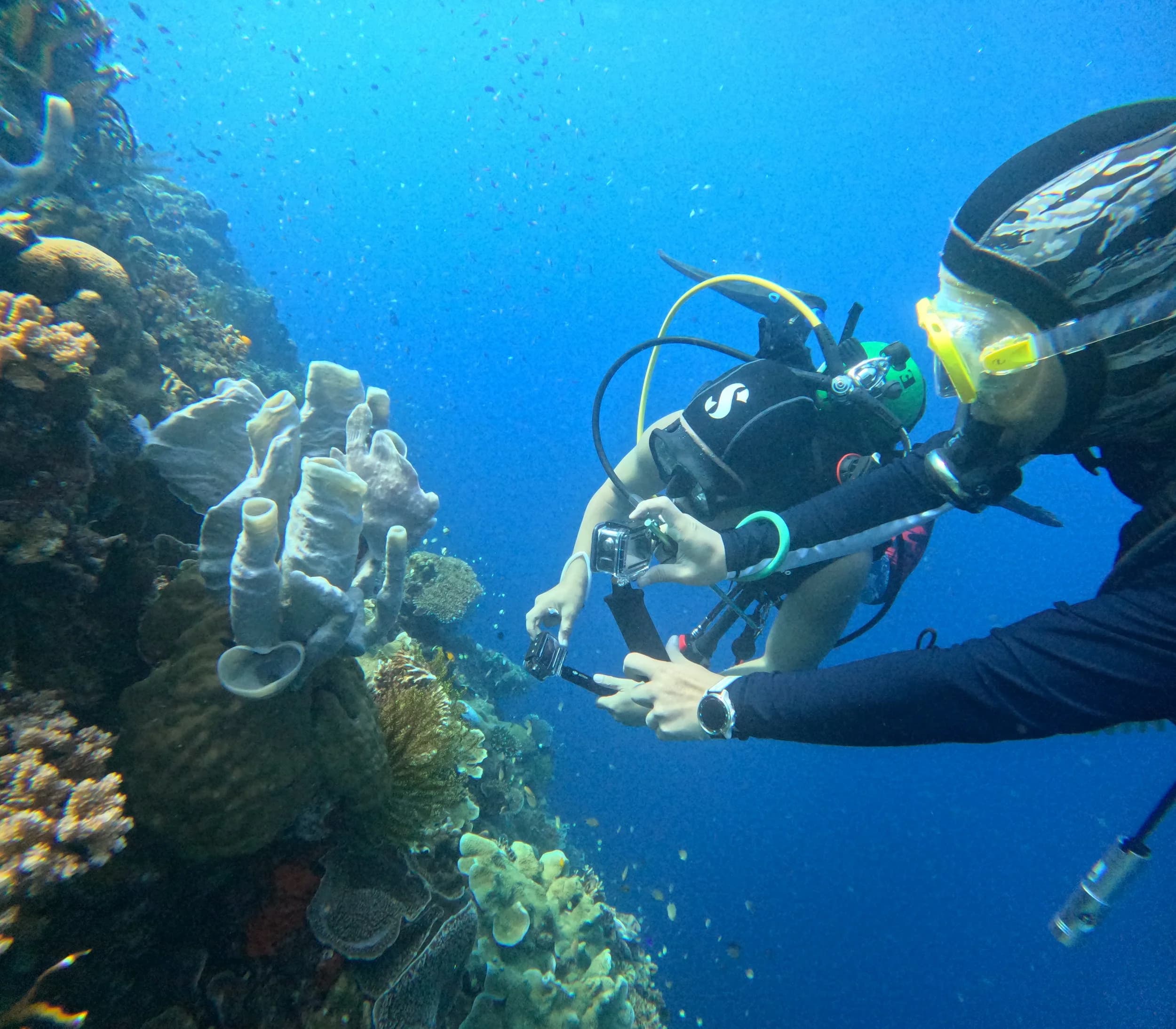 Drifting over the reef