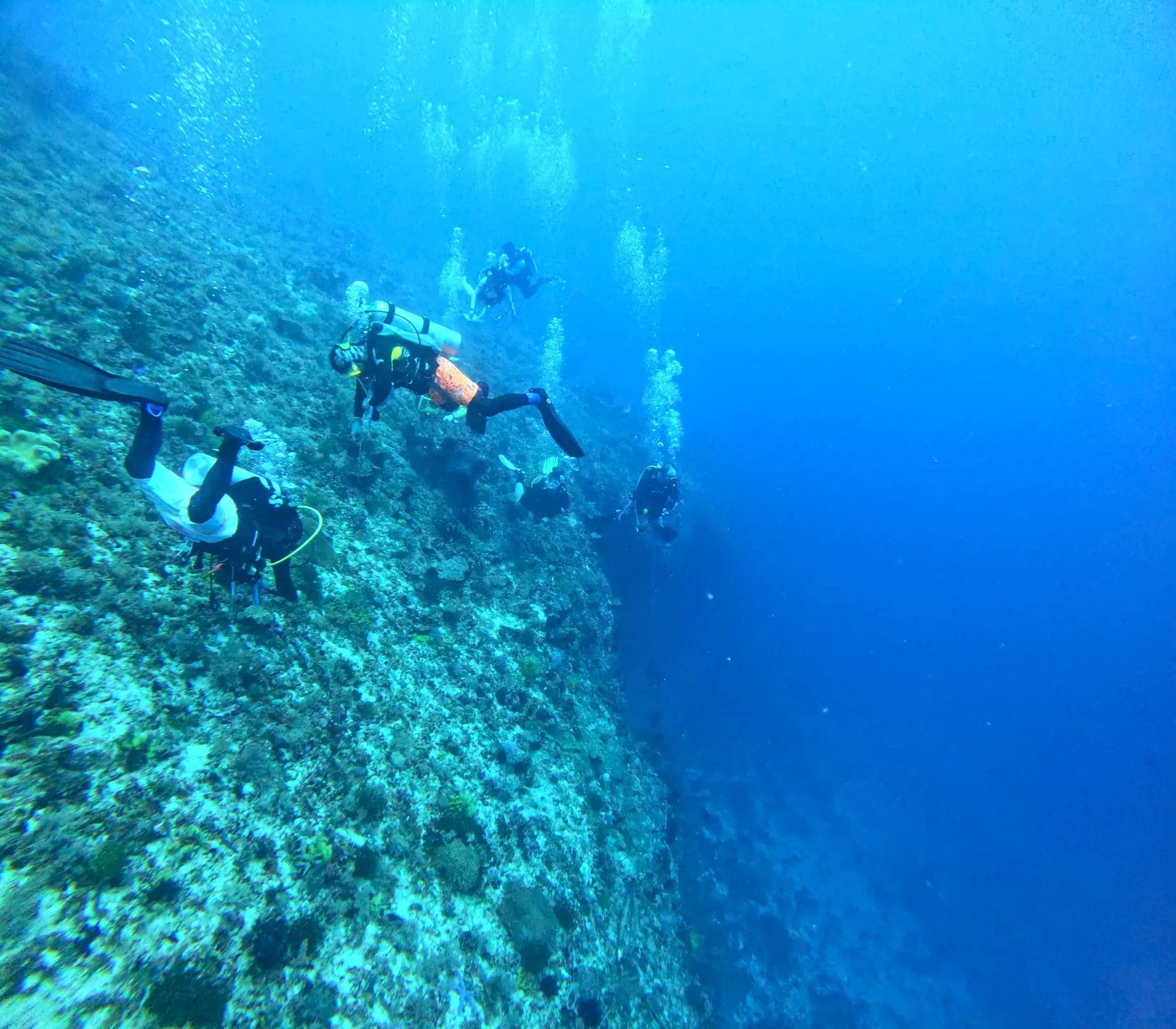 Regrouping over the reef
